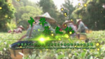 茶叶爆料视频大全下载,视频大全带你领略茶香魅力 第2张 茶叶爆料视频大全下载,视频大全带你领略茶香魅力 第2张